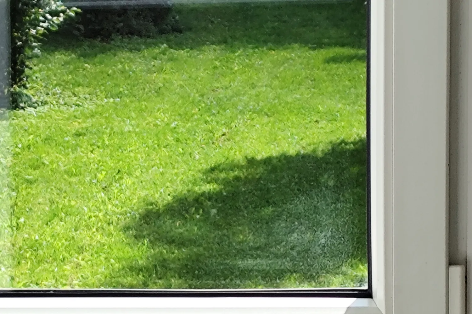 Kalkių apnašos ant lango stiklo